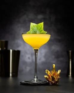 Coupetini Glas, Nude Glass, Rémy Savage - 170ml